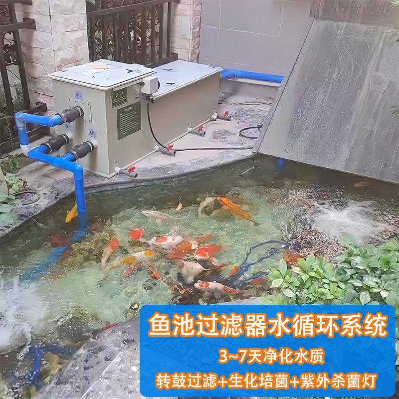 鱼池过滤器水循环系统室外庭院景观花园养鱼转鼓生化过滤一体机