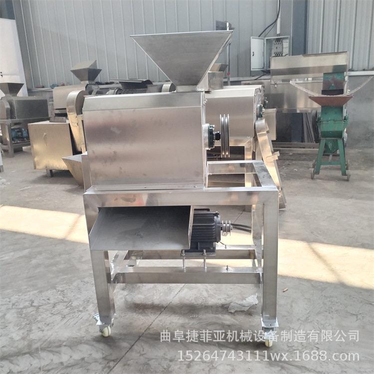 煮熟红枣山楂去核打泥机菠萝蜜杨梅榴莲去核打浆机商用果蔬打浆机
