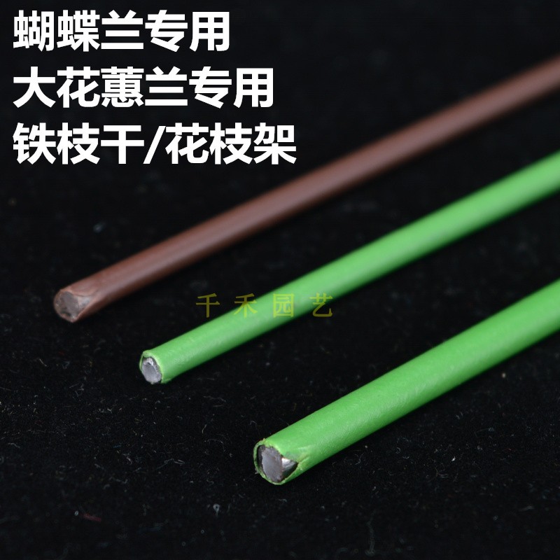 金钱树蝴蝶兰支架爬藤植物造型固定实心铁丝大花蕙兰支架绿植扶枝