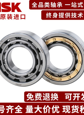 进口NSK NF304 305 306 307 308 309 310 EW EM C3 圆柱滚子轴承