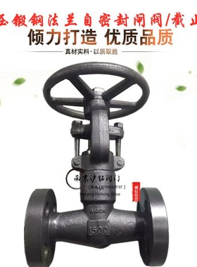 高温高压法兰式锻钢A105N自密封法兰闸阀 截止阀PZ/PJ41H-1500LB