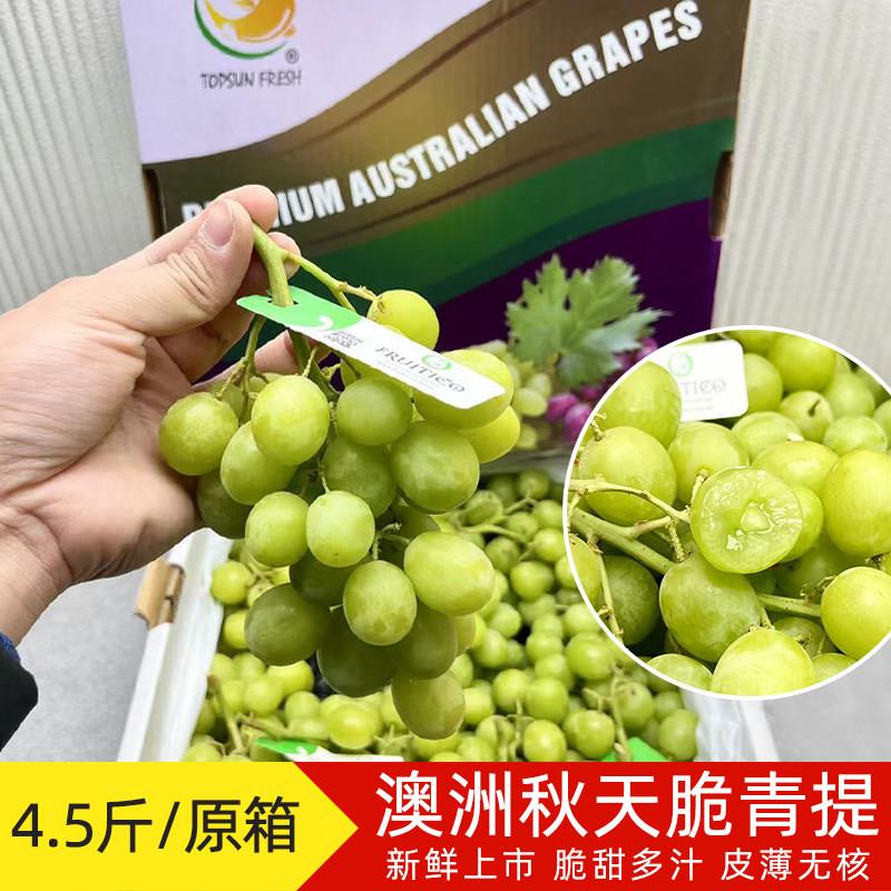 澳洲进口品种秋天脆青提无籽甜地球提子脆甜绿葡萄多汁9斤礼盒装