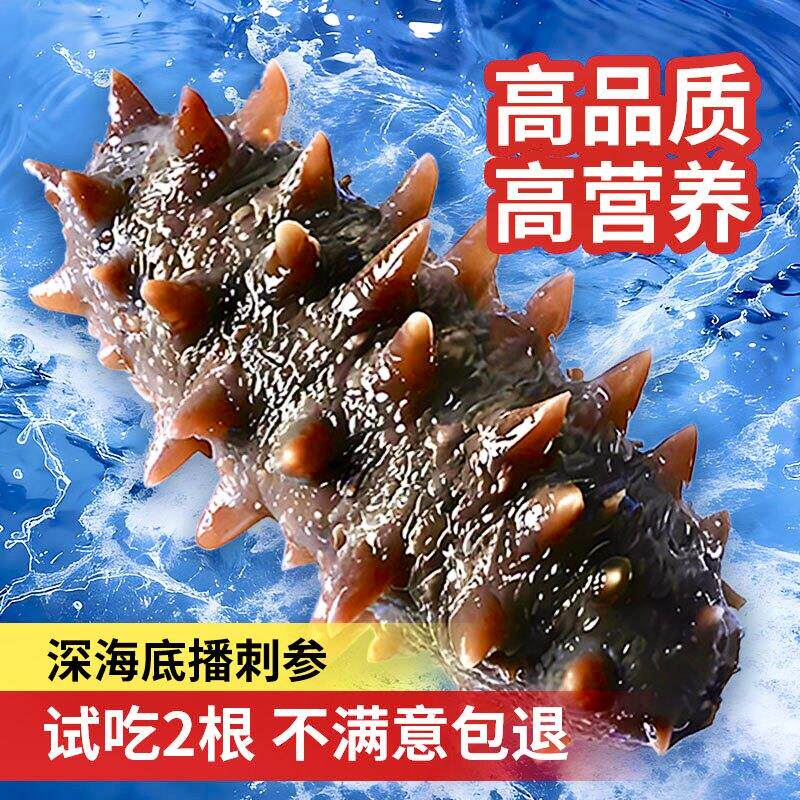 大连海参深海底播即食海参500g鲜食海参礼盒冻品特价包邮