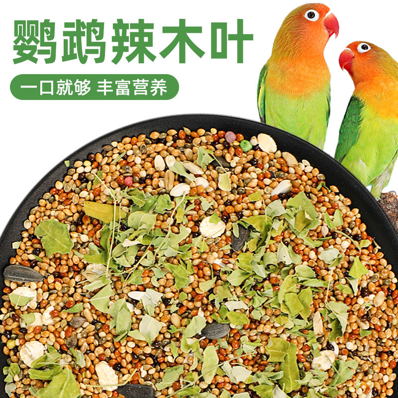 冠之亚鹦鹉辣木叶干整叶干货鸟粮添加零食中小型鹦鹉通用喂养用品 - 星诺宠物社出品