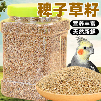鹦鹉鸟食带壳稗子草籽虎皮饲料牡丹玄凤鸟粮混合配料混合粮粮食