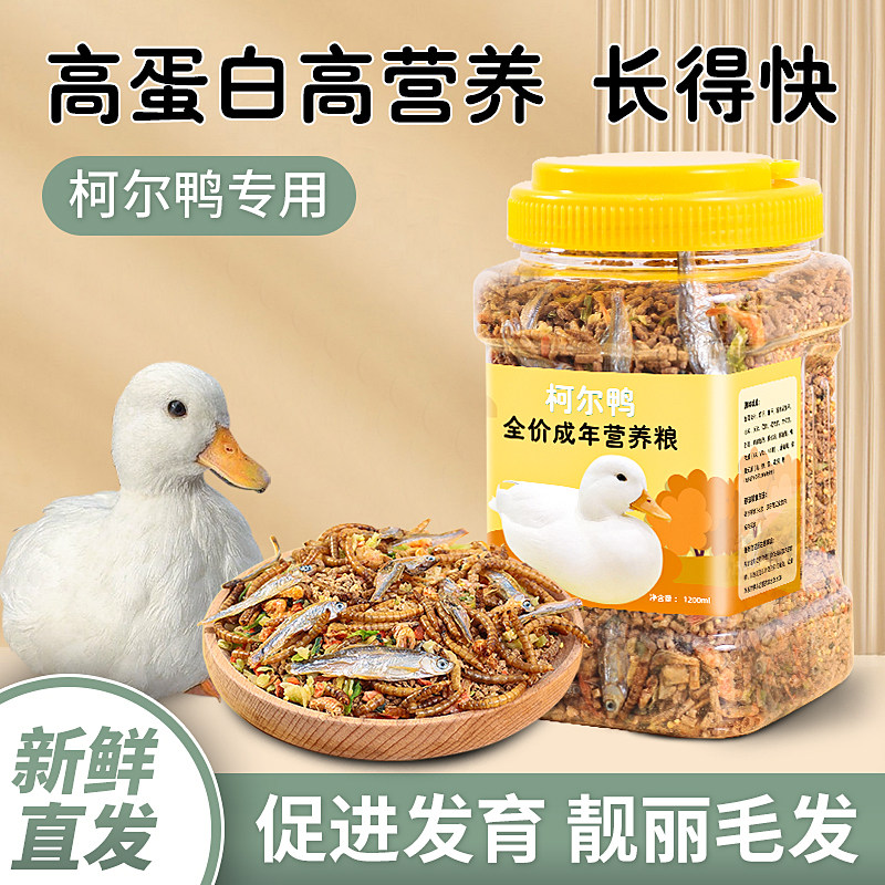 柯尔鸭全价成年产蛋粮面包虫干鱼干虾干鸭子营养均衡开口粮可达,宠物/宠物食品及用品,鸟食,淘宝优惠券,粉丝福利购,淘宝优惠卷