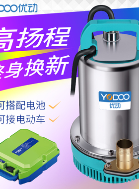 直流潜水泵VvVV7伏家用电动车抽水泵小型抽水机