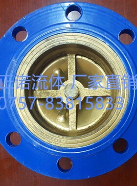HB41X-16C铸铁铸钢消声法兰止回阀 WCB立式止逆阀DN50 100