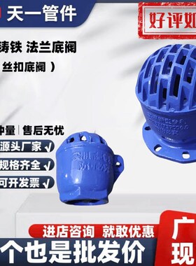 H42X-16新型球墨铸铁法兰底阀蓝色丝扣底阀114沟槽底阀水泵单向阀