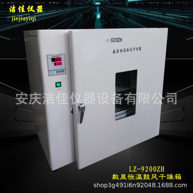 LZ9200数显电热恒温鼓风干燥烘箱实验厂家直销供应可订制