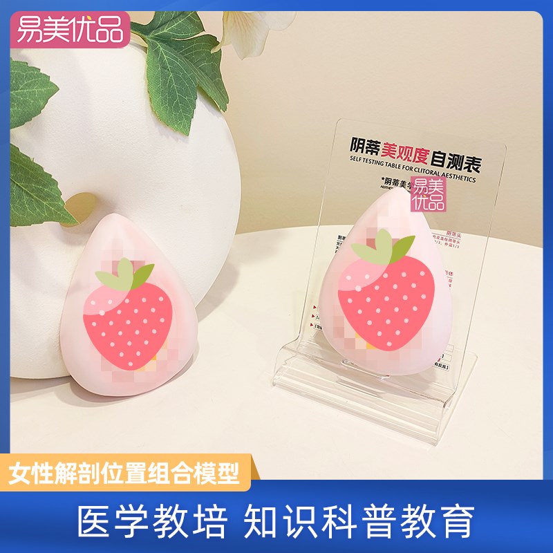 美容会所女性外生殖系统讲解教具医学解剖护理宣传产康店模型场景