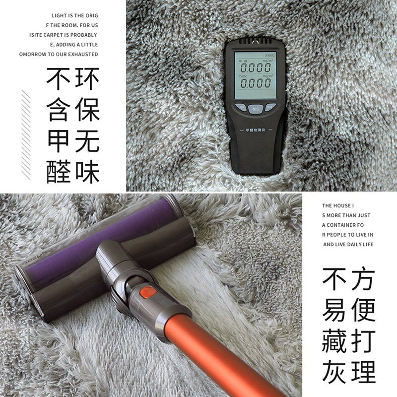 瑞典轻奢床边毯客厅地垫2026新款茶几沙发加厚毛毯纯色免洗全铺垫