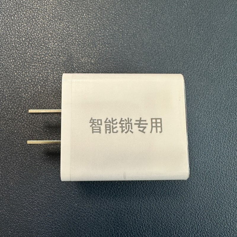 锁电池专用充电器慢充5VA充电器防火过充