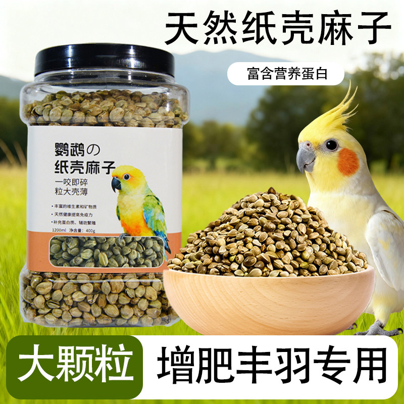 鹦鹉纸壳麻子天然大颗粒鸟零食增肥丰羽专用富含营养蛋白,宠物/宠物食品及用品,鸟零食,淘宝优惠券,粉丝福利购,淘宝优惠卷