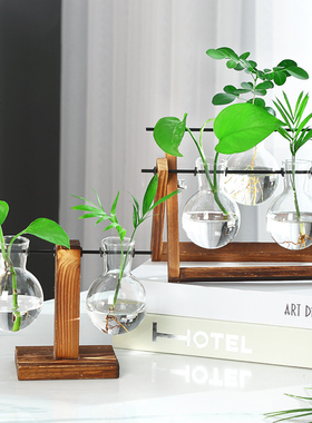创意烧杯水培木架容器绿萝植物玻璃花瓶办公室桌面摆件插花瓶装饰
