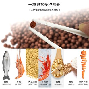 吉品鸿 鹦鹉鱼增红饲料1000克血鹦鹉增色鱼粮高蛋白热带鱼中颗粒