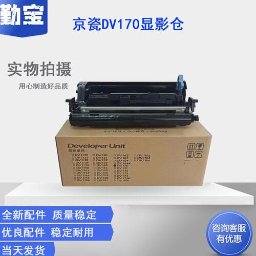 适用京瓷DV-163 DV173显影组件FS-1320D 1370DN P2135DN 1120DN P