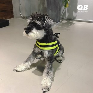 QB雪纳瑞狗狗牵引绳背心式 狗绳泰迪比熊防勒防爆冲胸背遛狗绳