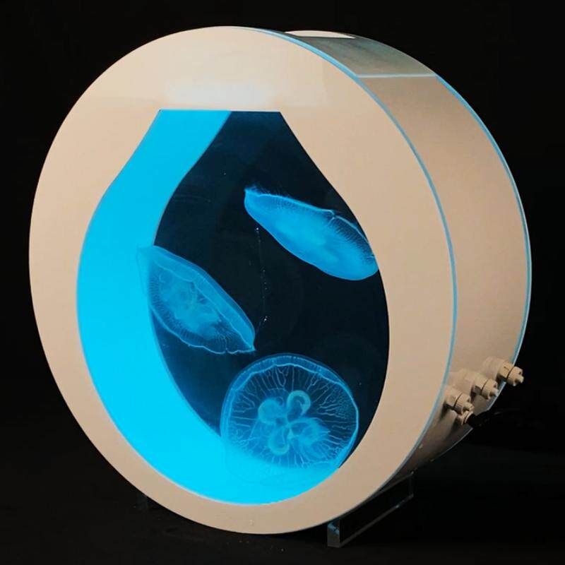 水母缸大型观赏活宠物大西洋黑星海刺水母智能恒温海水生态缸