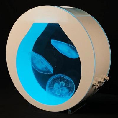 水母缸大型观赏活宠物大西洋黑星海刺水母智能恒温海水生态缸