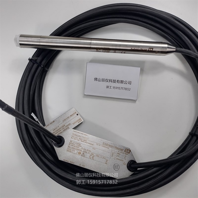 E+H 静压式液位计 投入式FMX21 恩德斯豪斯FMX167 FMX11 FMX165