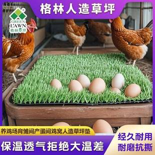 人造草坪鸡窝垫养鸡场孵化间产蛋窝宠物垫防水防霉调控温度防应激