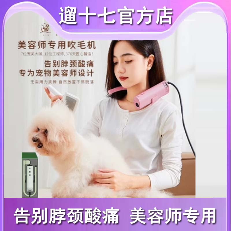 溜遛十七专业宠物美容吹风机降噪静音大风力挂脖狗狗猫咪拉毛机