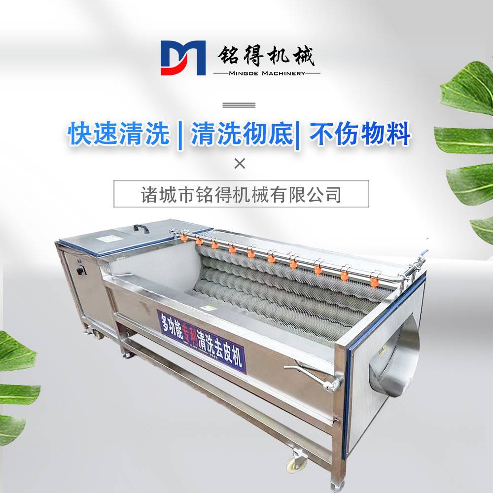 自动出料马蹄毛辊清洗机 大姜毛辊清洗去皮机 小型辣根毛辊清洗机