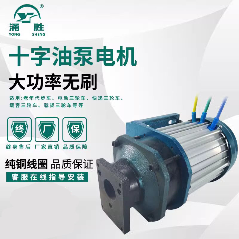 电动三轮车电机60V大功率1500W3000W永磁无刷油泵电动机马达配件