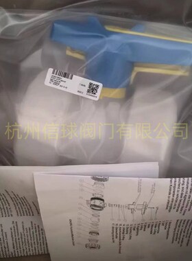 奥地利AGRU(艾格鲁)PVDF UHP超纯水专用双由令球阀 活接焊接