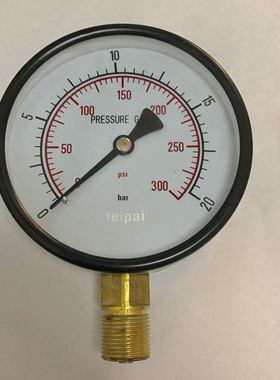 300psi 压力表 20bar20bar=300psi=2mpa 直径100mm m20x1.5