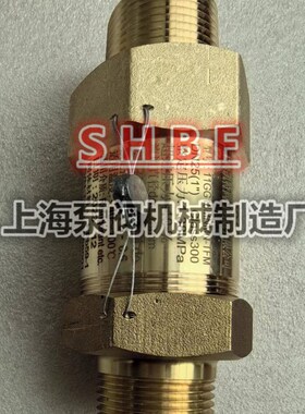 上海凯特KT安全阀11GG18MNMN-TFM 冷媒制冷安全阀DN25 双外螺纹