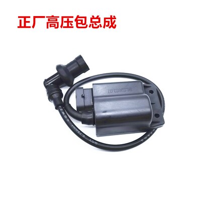 适用淑女100 FLY100快乐100卡玛100比亚乔100 DZ100点火器 高压包