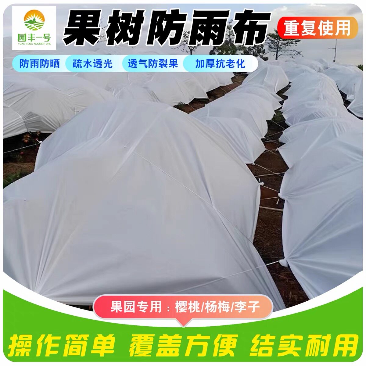 果园防雨布白色防水透气李子樱桃果树防风防晒防裂果避雨透光防寒