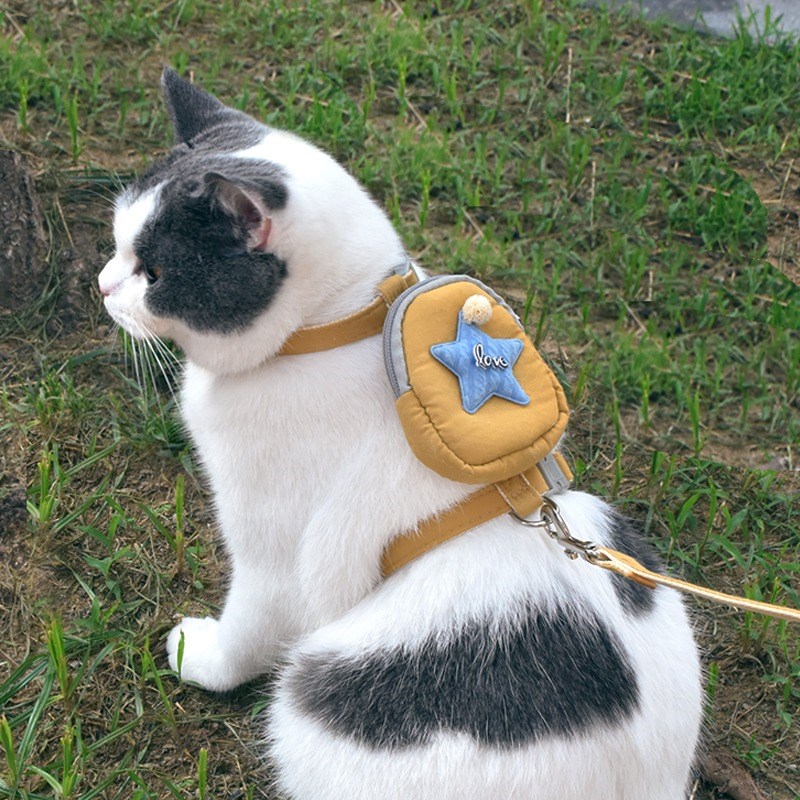 宠物猫绳子牵引绳带背包胸背式溜猫绳外出小书包幼猫布偶蓝猫用品