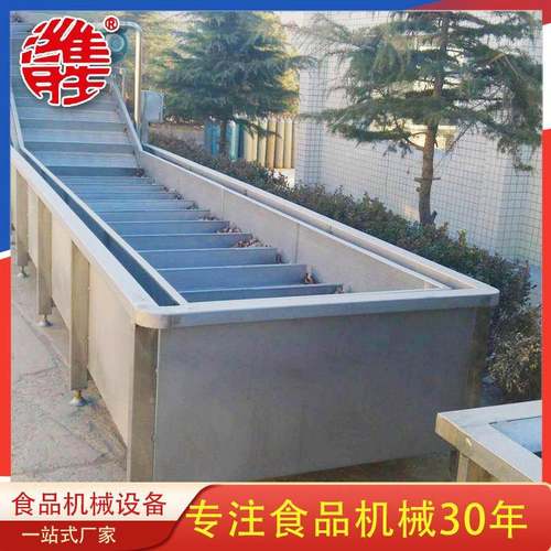 厂家供应金针菇漂烫线蔬菜漂烫预冷流水作业线不锈钢蔬菜清洗机