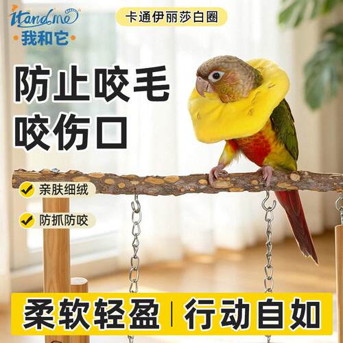 鹦鹉伊丽莎白圈小宠花枝鼠仓鼠保护圈防破口术后花枝鼠伊丽莎白圈
