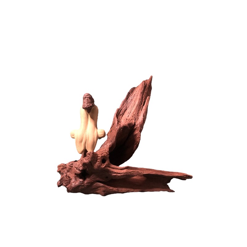 小号精品紫柚沉木水族箱鱼草缸造景乌龟爬晒M台爬宠躲避根艺小摆