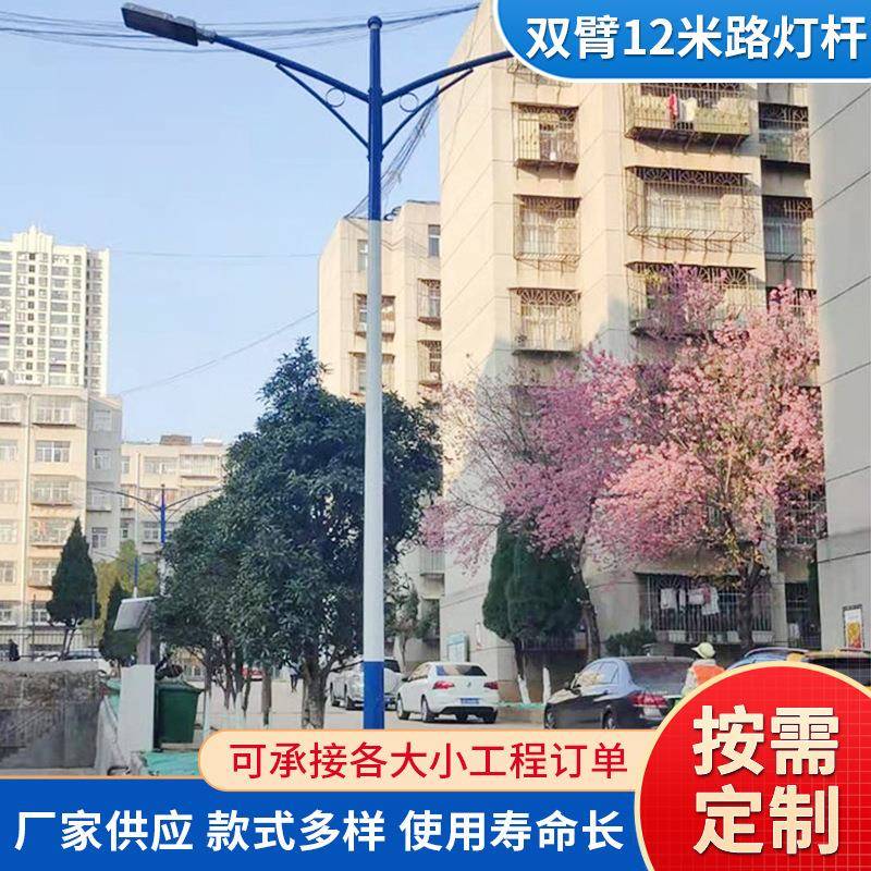 市电路灯户外防水超亮大功率双臂灯路灯杆双灯头12米路灯杆