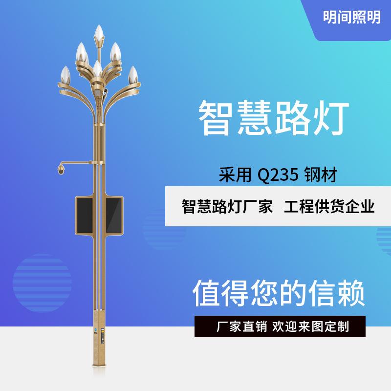供应多功能LED智慧路灯旅游景区带监控显示屏5G智慧城市路灯