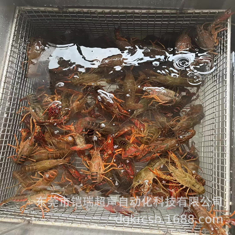 小龙虾超声波清洗机 虾蟹 酒店清洗设备 铠瑞KR-248DFS热销中,清洗/食品/商业设备,其他清洗机,淘宝优惠券,粉丝福利购,淘宝优惠卷