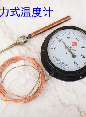 WTZ-280压力式温度计 工业锅炉用温度计 指针温度表 远传温度计