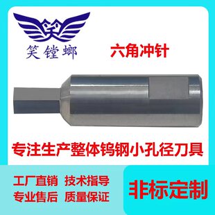 笑镗螂 笑数控车床加工六角冲头冲子合金旋转内六角冲针数控刀柄