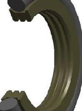 GRS轴用旋转斯特封Oed/BRS/OER160*175.5*6.3/171*4.2回转方形圈