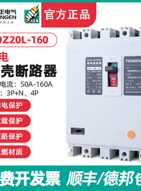 TENGEN天正 DZ20L-160/3N300 160A漏电塑壳断路器三相四线380开关