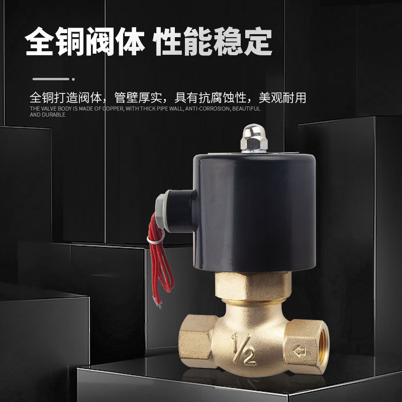 全铜耐高温蒸汽电磁阀控制2L/US-15 20 25 32 4 6分1寸半220v