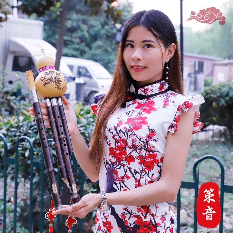 策音紫竹双调葫芦丝F加G降B加C调音准省力乐器成人演奏专业初学者