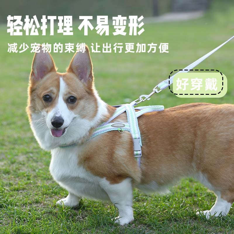 宠物胸背带狗狗牵引绳柯基泰迪遛狗绳中小型犬背心式项圈透气狗链