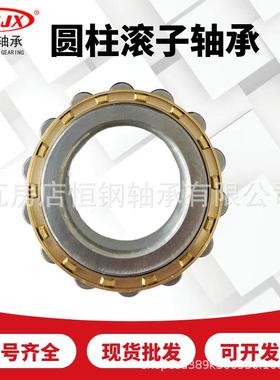 RN206M偏心轴承套摆线针轮减速机轮RN307单列圆柱滚子RN309RN205