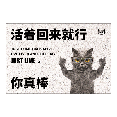 进门地垫网红防滑除尘入户蹭土丝圈地垫搞笑门垫活着回来就行脚垫